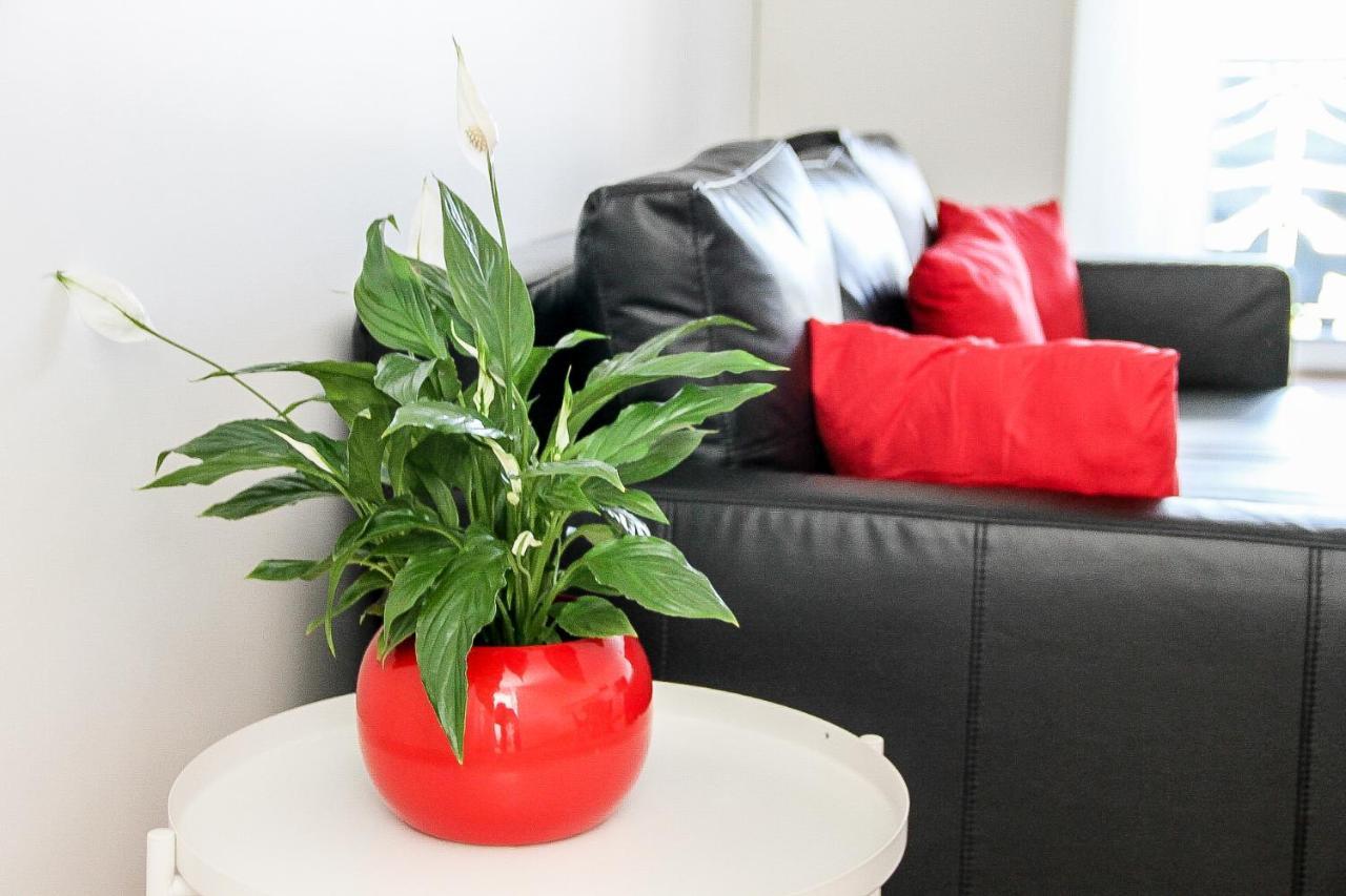 Appartement Grand T1 Moderne Jardin près de CDG à Le Thillay Extérieur photo
